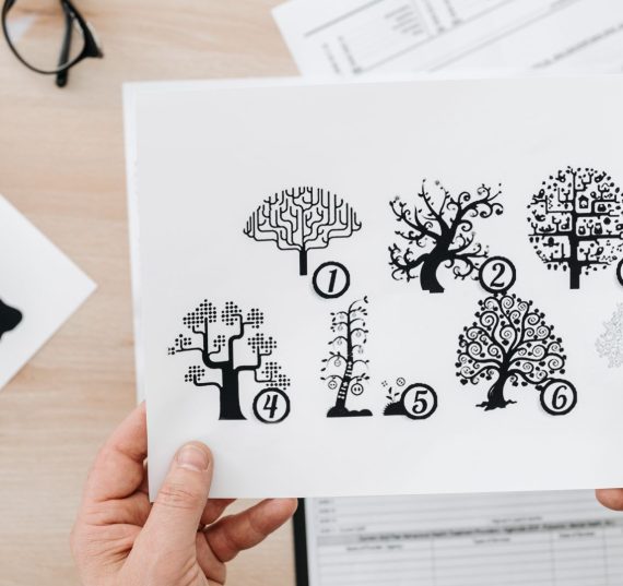 Imagens para o site do Vini 2